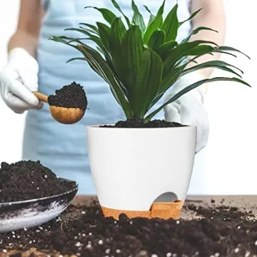 Stylish Self-Watering Plant Pots for Thriving Greenery