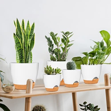 Stylish Self-Watering Plant Pots for Thriving Greenery