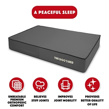 The Dog’s Bed Orthopedic Memory Foam Dog Bed, Large Grey & Black, Waterproof, Supportive Dog Bed w...