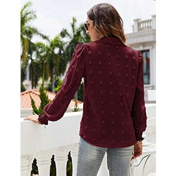 Micoson Women Chiffon Tunic Tops Button Down Blouse Long Sleeve Lapel Collar Blouse Shirts Wine Red Large
