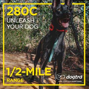 Dogtra 280C Waterproof 127 Level Dog Training E-Collar