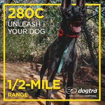 Dogtra 280C Waterproof 127 Level Dog Training E-Collar
