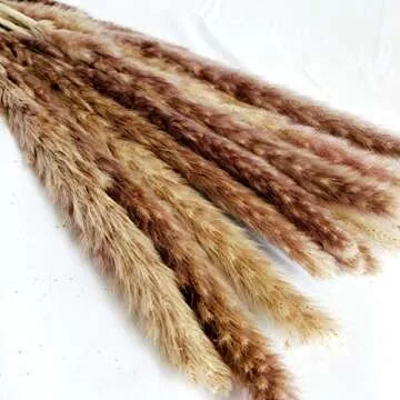 Natural Dried Pampas Grass Bouquet 30 Pcs for Décor
