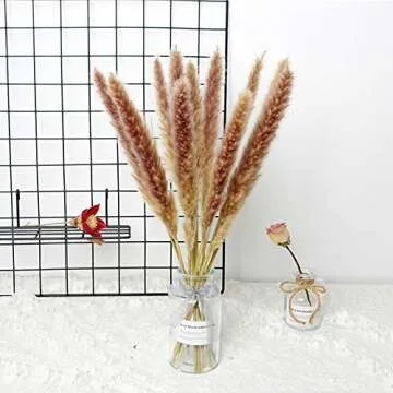 Natural Dried Pampas Grass Bouquet 30 Pcs for Décor