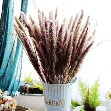 Natural Dried Pampas Grass Bouquet 30 Pcs for Décor