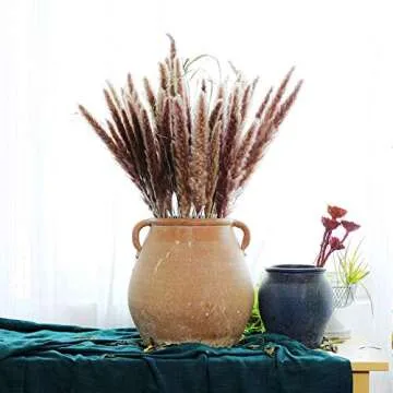 Natural Dried Pampas Grass Bouquet 30 Pcs for Décor