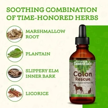 Animal Essentials Colon Rescue Herbal Tincture for Pets