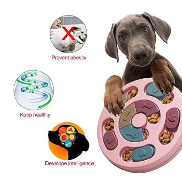 DR CATCH Interactive Dog Puzzle Toy for IQ Training
