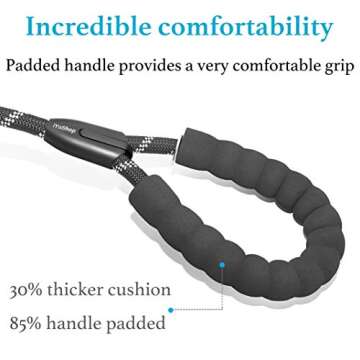 iYoShop Durable Slip Lead Dog Leash with Padded Handle and Highly Reflective Threads, No Pull Dog Training Leash, (1/2" x 6 FT, Black)