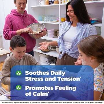 Natrol Mood+ Stress Relax+ Day Calm Gummies for Occasional Stress, Tropical Fruit Punch, 60 Count, 60 Day Supply