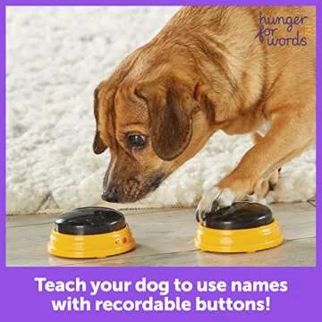 Hunger For Words Talking Pet Next Words Names - 3 Piece Set of Recordable Speech Buttons for Dog Tra...
