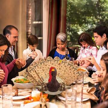 HOHUCRAB Thanksgiving Decorations Turkey with 10 Double-Sided Feathers, 8.6 in Thanksgiving Decorations for Table, Natural Material Turkey Decorations for Home