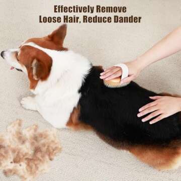 Soft Boar Bristle Pet Palm Brush for Short Haired Dogs and Cats with Band, Reduce Shedding, Ergonomi...