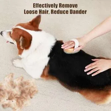 Soft Boar Bristle Pet Palm Brush for Short Haired Dogs and Cats with Band, Reduce Shedding, Ergonomi...