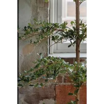 VYNT Black Olive Tree 7ft - Lifelike Indoor/Outdoor Decor