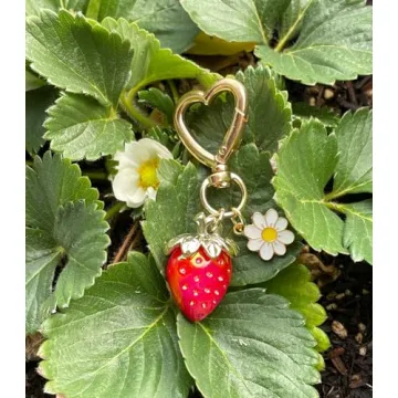 Kawaii Strawberry Keychain & Bag Charm for Girls