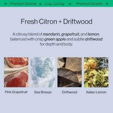 Luxurious Sulfate-Free Body Wash for Men & Women 14 Fl. Oz