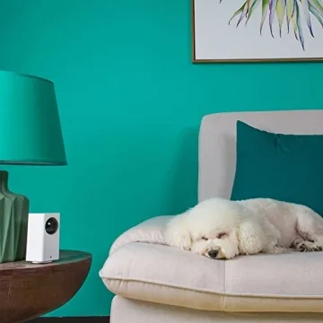 Wyze Cam 1080p Pan/Tilt/Zoom Smart Home Security Camera