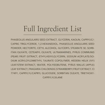 Beauty of Joseon Red Bean Pore Mask for Oily Skin