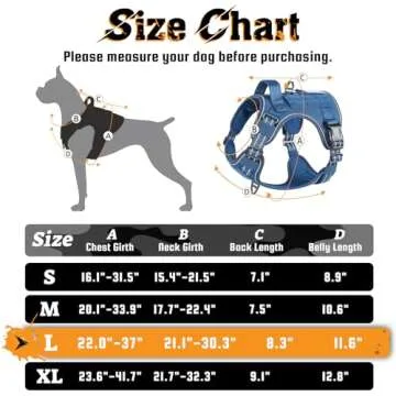 rabbitgoo Dog Harness for Large Dogs No Pull, Tactical Service Pet Vest with Molle and Control Handle, Adjustable and Reflective Military Harness for Easy Walking and Training, Blue, L