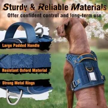 rabbitgoo Dog Harness for Large Dogs No Pull, Tactical Service Pet Vest with Molle and Control Handle, Adjustable and Reflective Military Harness for Easy Walking and Training, Blue, L