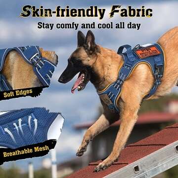 rabbitgoo Dog Harness for Large Dogs No Pull, Tactical Service Pet Vest with Molle and Control Handle, Adjustable and Reflective Military Harness for Easy Walking and Training, Blue, L