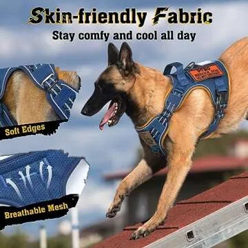 rabbitgoo Dog Harness for Large Dogs No Pull, Tactical Service Pet Vest with Molle and Control Handle, Adjustable and Reflective Military Harness for Easy Walking and Training, Blue, L