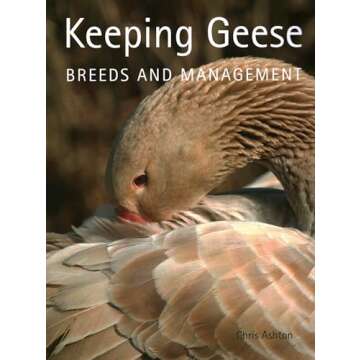 Keeping Geese: Breeds and Management Guide for Goose Enthusiasts