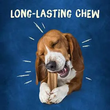 Purina Busy USA Made Small/Medium Dog Bones - 10 ct