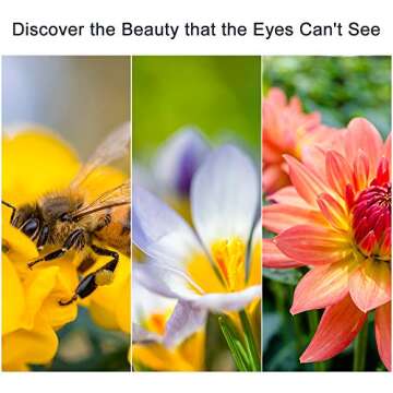 58mm Close-up Filter Kit for Macro Photography Enthusiasts