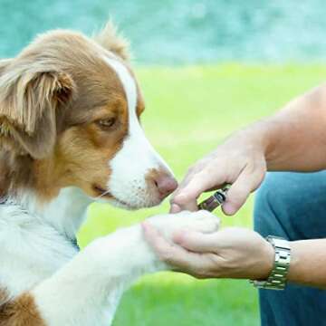 Coastal Pet Safari Guillotine Dog Nail Trimmer - Owner-Friendly with Vinyl Grip for Medium to Large ...
