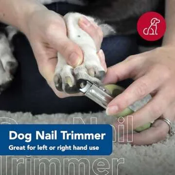 Coastal Pet Guillotine Dog Nail Trimmer for Medium to Large Dogs