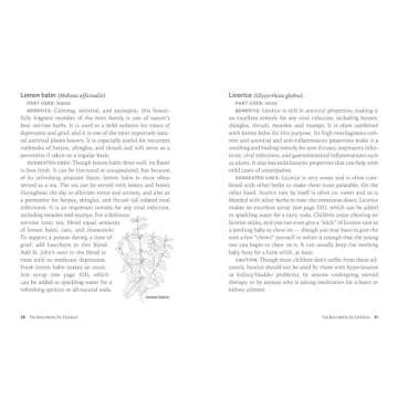 Herbs for Children's Health: Gentle Remedies for Kids