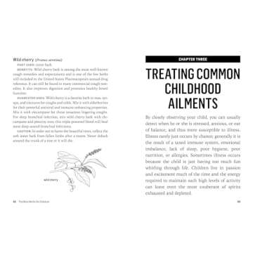 Herbs for Children's Health: How to Make and Use Gentle Herbal Remedies for Soothing Common Ailments. A Storey BASICS® Title