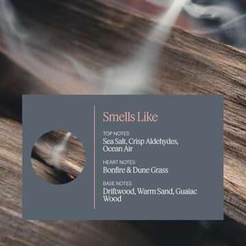 Aera Feu de Bois Home Fragrance Scent Refill - Smokey Embers & Driftwood