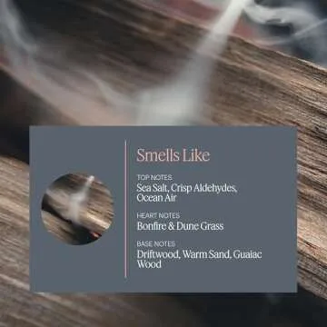 Aera Feu de Bois Home Fragrance Scent Refill - Smokey Embers & Driftwood