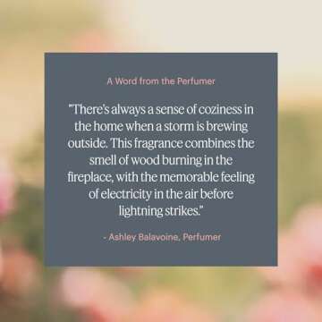 Aera Feu de Bois Scent Refill for Cozy Aromas