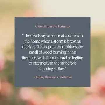 Aera Feu de Bois Scent Refill for Cozy Aromas