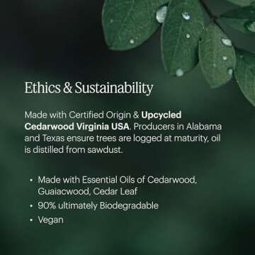 Aera Feu de Bois Scent Refill for Cozy Aromas