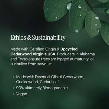 Aera Feu de Bois Scent Refill for Cozy Aromas