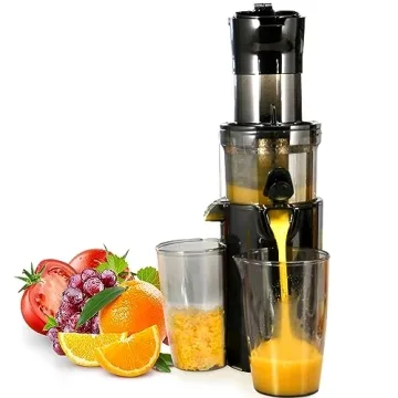 VEVOR Masticating Juicer - High-Efficiency Cold Press Juice Extractor