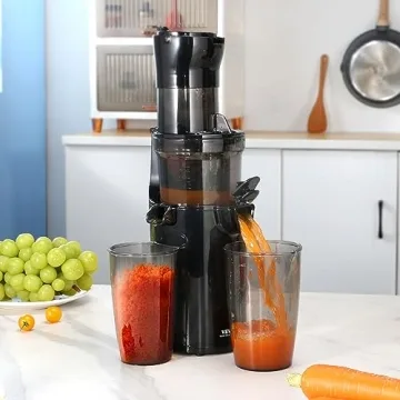 VEVOR Masticating Juicer, High Juice Yield & Easy Clean