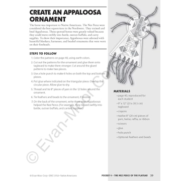 History Pockets: Native Americans, Grades 1-3