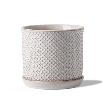 Chubacoo 6 Inch Plant Pot: Elegant Ceramic Planter with Drainage and Saucer for Plants