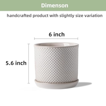 Chubacoo 6 Inch Ceramic Plant Pot for Stylish Gardening