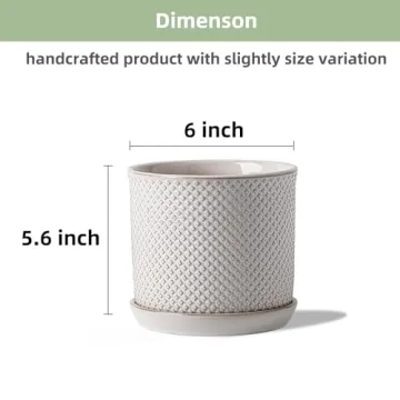 Chubacoo 6 Inch Ceramic Plant Pot for Stylish Gardening