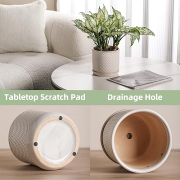 Chubacoo 6 Inch Ceramic Plant Pot for Stylish Gardening