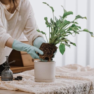 Chubacoo 6 Inch Ceramic Plant Pot for Stylish Gardening