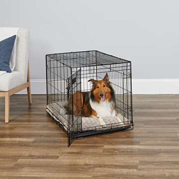 MidWest Homes for Pets Newly Enhanced Single Door iCrate Dog Crate, Includes Leak-Proof Pan, Floor P...