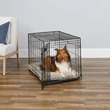 MidWest Homes for Pets Enhanced iCrate: Safe & Durable Dog Crate